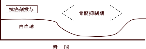 白血球、好中球減少の図 白血球、好中球減少の図